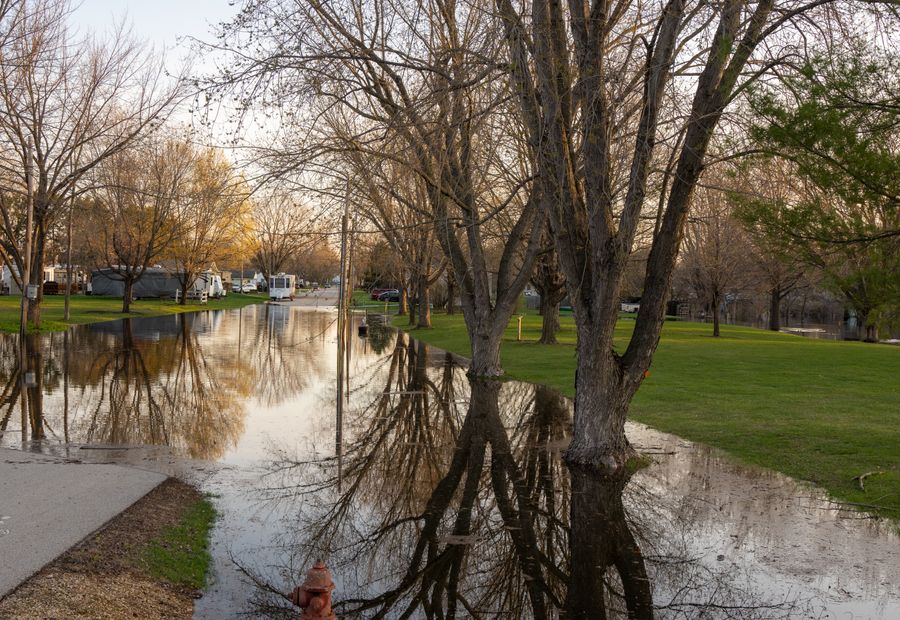 Standing water sitting across a lawn above a failing septic drain field