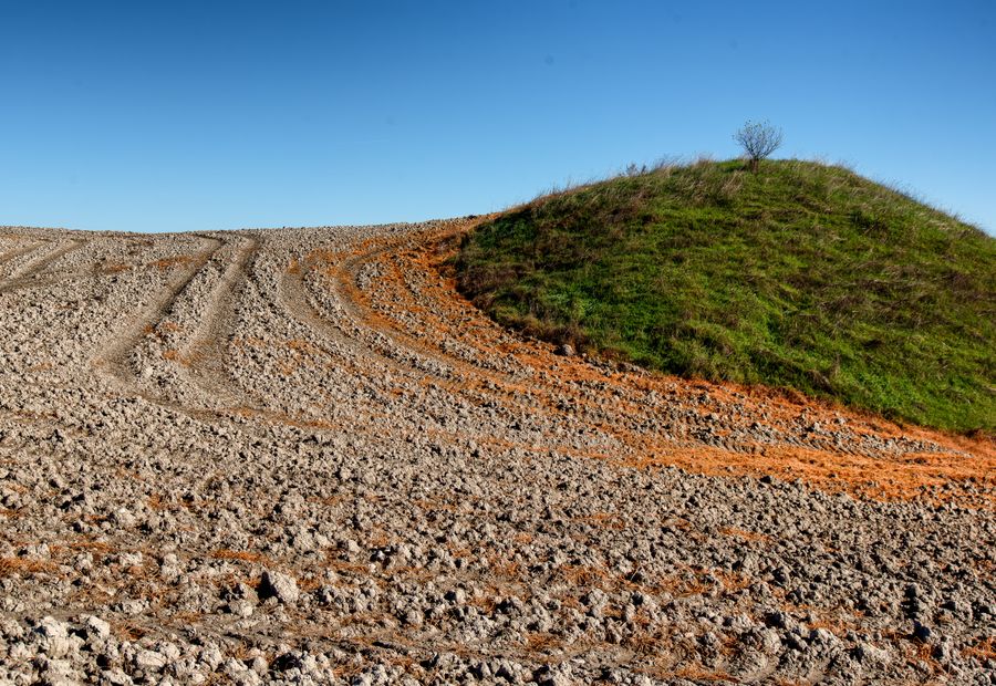 Grass covered raised septic mound rising above the surrounding yard