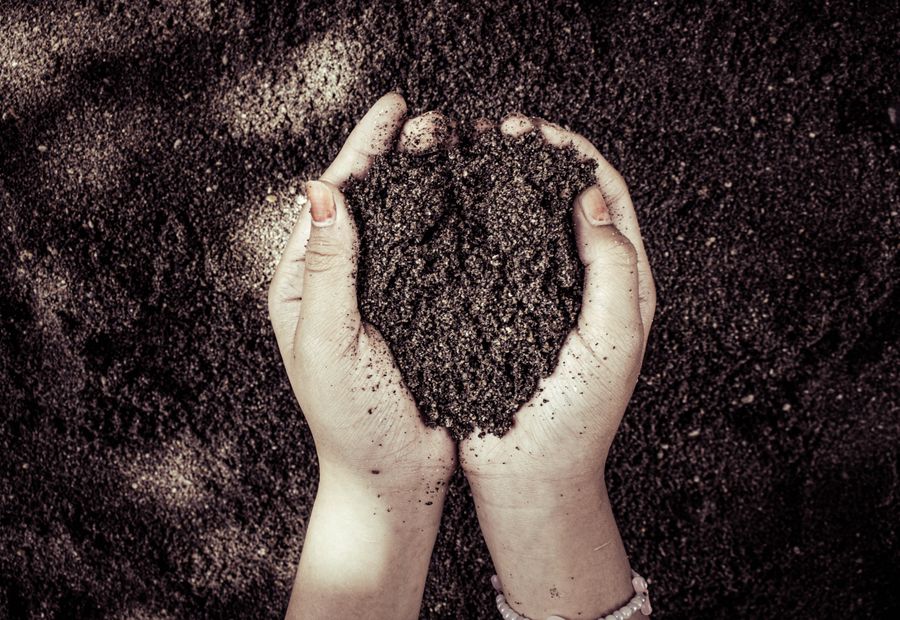 Two hands cupping dark crumbled soil taken from a test pit